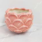  Корея маленькая миска розовый лотос. цветок цветочный горшок салон керамика горшок суккулентное растение растение в горшке супер-скидка редкость интерьер подарок за границей бонсай рекомендация посадочная машина 