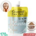 ナイアード ガスール ペーストタイプ 170g モロッコ産 naiad ghassoul メール便 送料無料 フェイスパック ガスール クレイパック 泥パック 美容パック 毛穴