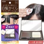 白髪かくし ファンデーション ダークブラウン 5g コンパクト 生え際ブラシ付 ヘアカラー 毛髪着色料 TKMI-009DB メール便送料無料 速乾 白髪 生え際 東京企画