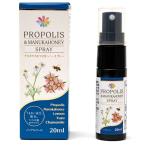 華コーポレーション プロポリス＆マヌカハ