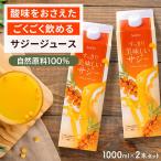 600円OFFクーポン 公式 すっきり美味しいサジー 1000ml 2本セット 鉄分補給 SajiOne サジージュース オレンジ ゆず 美容