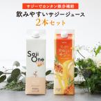  облепиха one аккуратный прекрасный тест .. облепиха .. Blend облепиха сок .. сравнение комплект 1000ml 2 шт. комплект железо orange yuzu питание красота 