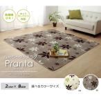 ラグ カーペット 2畳 洗える 抗菌 防臭 無地 『WSプランタ』 約185×185cm （ホットカーペット対応）WSプランタIT