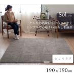 ラグ 洗える オールシーズン 丸洗い 防ダニ カーペット ウォッシャブル 滑り止め ラグマット 190X190cm 長方形 北欧 床暖房 シンプル