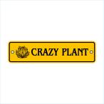  сад автограф plate Driger ten28cm*7cm CRAZY PLANT YE