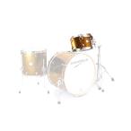 CANOPUS NV60M2 8x12 Tom Gold Spkl. Wrap