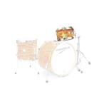 CANOPUS NV60M2 8x12 Tom Mod Orange Wrap