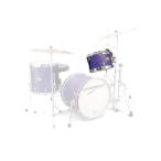 CANOPUS NV60M1 8x10 Tom Purple Oil