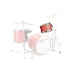 CANOPUS NV60M1 8x12 Tom Vermilion Oil