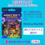 Minecraft: Java & Bedrock Edition for PC　永続ライセンス 　1ライセンス  (オンラインコード版)【並行輸入版】日本語版
