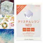 ＼送料無料／ 日新レジン クリスタルレジンNEO 1.5kg セット レジンアート エポキシアート 二液性 エポキシ 樹脂 日本製