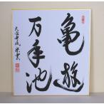  карточка для автографов, стихов, пожеланий [ черепаха . десять тысяч год .].... сезон . отношение нет можете использовать ....