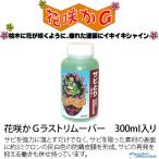 * бесплатная доставка стандартный товар (. научно-исследовательский институт ) цветок ..G последний съемник 300ml - nasakaji- удаления ржавчины замедлитель коррозии техническое обслуживание восстановление [ аксессуары для мотоцикла ]