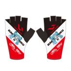( Special распродажа )GSR PRO обвес перчатка рейсинг Miku 2026 TEAM UKYO отвечающий .Ver ( совершенно производство на заказ ) * отсроченный платеж не возможно 