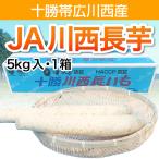 【十勝帯広川西産】長芋 5kg・1箱