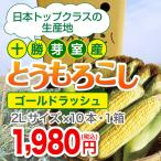 【十勝芽室産】とうもろこし(ゴールドラッシュ)2Lサイズ×10本・1箱