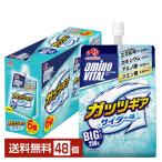 味の素 アミノバイタル ゼリードリンク ガッツギア サイダー味 250g パウチ 24個×2ケース(48個) 送料無料
