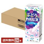 エルビー ぶどう＆カルピス 250ml 紙パック 24本 1ケース 送料無料