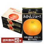 ゴールドパック みかんジュース ストレート 160g 缶 20本×2ケース(40本) 送料無料
