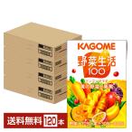 カゴメ 野菜生活 100 マンゴーサラダ 100ml 紙パック 30本×4ケース(120本) 送料無料