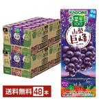  ограниченное количество овощи жизнь 100 Yamanashi .. Mix корзина me195ml бумага упаковка 24шт.@×2 кейс (48шт.@) бесплатная доставка 