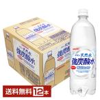 サンガリア 伊賀の天然水 強炭酸水 1L 1000ml ペットボトル 12本 1ケース 送料無料