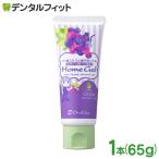歯磨き粉 子供 オーラルケア ホームジェル グレープ 1本(65g) (メール便8点まで)