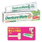 デンチャーメイトC PRO 1本(40g) 義歯安定剤 日本製  巻上げ器具付き(メール便10点まで)