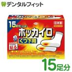 興和 ホッカイロ くつ下用タイプ 1箱(15足分/30枚) 期限2021.04.30  しもやけ 靴下 対策 つま先 保温