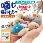 猫 おもちゃ ねずみ 歯磨き 10点 キャットトイ 猫用玩具 デンタルトイ 噛むおもちゃ 歯垢除去 かわいい またたびの実粉末パック付き