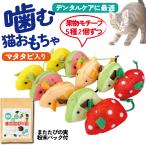 猫 おもちゃ ねずみ 歯磨き 10点 キャットトイ 猫用玩具 デンタルトイ 噛むおもちゃ 歯垢除去 果物モチーフ またたびの実粉末パック付き