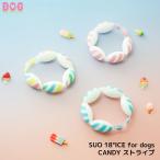 【SUO 18°ICE for dogs CANDY ストライプ L】 D・O・G クールリング アイスリング COOL クールダウン ひんやり 冷たい 夏のお出かけ必需品