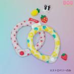 [SUO RING for pets 28°ICE кнопка есть клубника SB]D*O*G прохладный кольцо I sling COOL.... холодный хочет 