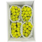  Yamanashi префектура производство автомобиль in мускат (2kg) рефрижератор товар подарок 