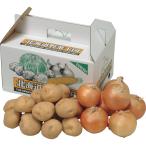  Hokkaido производство новый ...&amp; шар лук порей комплект 