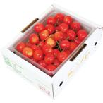  Yamagata префектура производство вишня Sato .(500g)