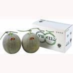  Hokkaido производство JA.... дыня (2 шар ) рефрижератор товар подарок 