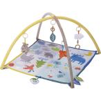 moz baby gym MOZ100R