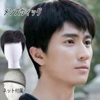 かつら 男性用 シニア 黒髪 ブラック 自然 つむじ 分け目 短髪 ショート ウィッグ メンズ