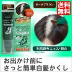 送料無料 おでかけ前の簡単白髪染め カバーグレイ ポイントカラー ダークブラウン 利尻昆布配合 筆タイプ
