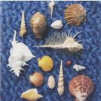 ボーナスストアプラス 10％対象 廃盤 スピッツ CD CYCLE HIT 1991-1997 Spitz Complete Single Collection ベスト spitz BEST