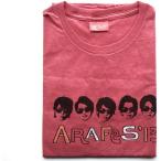 生産中止 嵐フェス'13 Tシャツ フリーサイズ