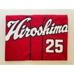  превосходный рассылка снят с производства Hiroshima Toyo Carp Carp новый ...25 копия форма visitor 2009-2022 ver. RE