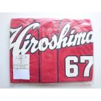  Nakamura . futoshi 67 копия форма visitor (S) 2009-2022 ver. Hiroshima Toyo Carp Carp 272