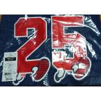 X 2018 限定生産 広島東洋カープ CARP  ℃℃℃ ユニフォーム ドドド 新井貴浩 25 ユニホーム PR