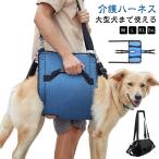  собака собака уход Harness большой собака средний собака уход товары для ухода рекомендация уход для Harness уход для Harness приспособление для ходьбы Harness уход для все тело Harness sinia собака 