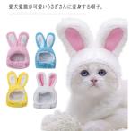  бесплатная доставка домашнее животное шляпа .... костюм для домашних животных шляпа кошка кошка собака собака маленький размер собака аксессуары Insta .. шарф снуд ... предмет .... уголок шапочка 