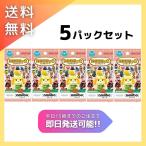 【5パックセット】 どうぶつの森 amiiboカード 第4弾 送料無料