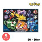 レジャーシート(S) 【ポケットモンスター 25】 スケーター 遠足 グッズ 運動会 ピクニック