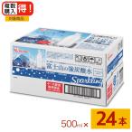 富士山の強炭酸水 500ml